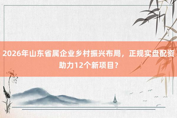 2026年山东省属企业乡村振兴布局，正规实盘配资助力12个新项目？