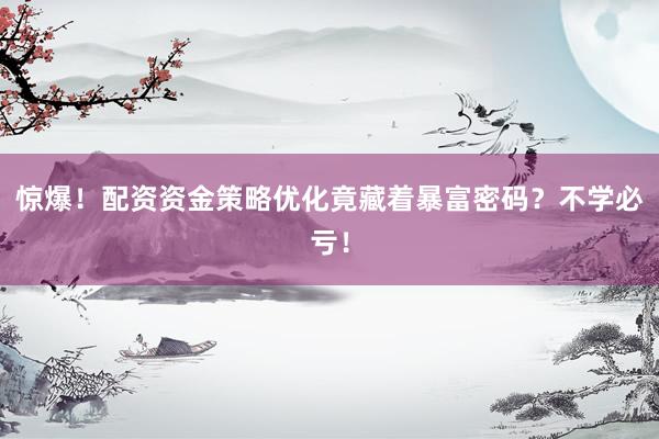 惊爆！配资资金策略优化竟藏着暴富密码？不学必亏！