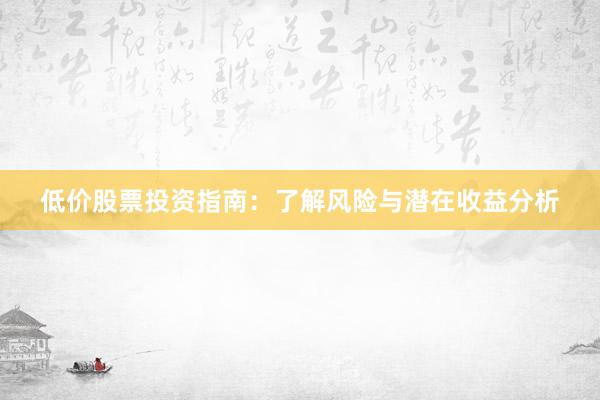 低价股票投资指南：了解风险与潜在收益分析