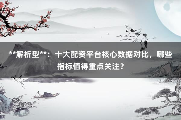 **解析型**：十大配资平台核心数据对比，哪些指标值得重点关注？
